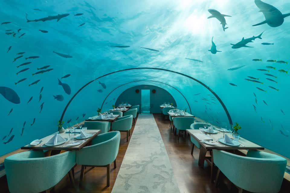 Conrad Maldives Rangali Island, photo 3