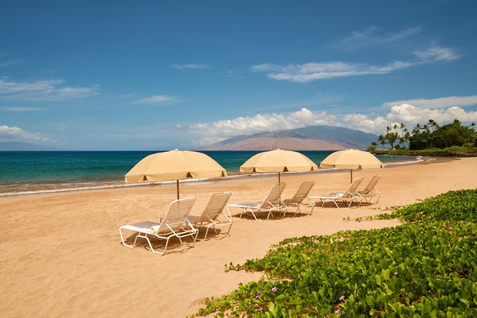 Grand Wailea Maui, A Waldorf Astoria Resort, photo 3