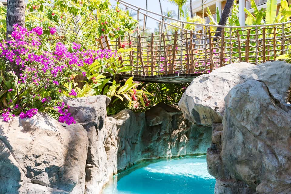 Grand Wailea Maui, A Waldorf Astoria Resort, photo 5
